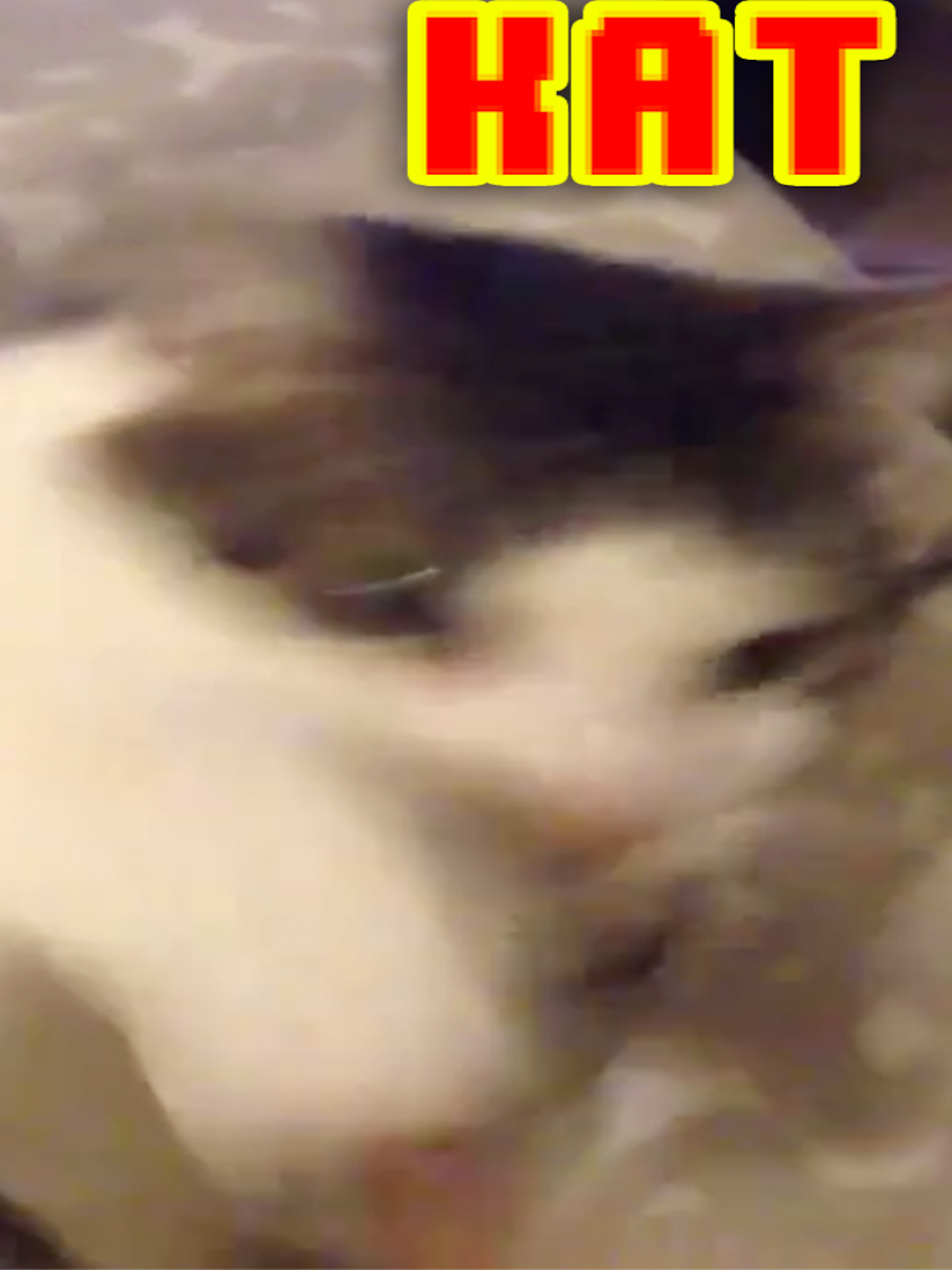 Kat Soundz