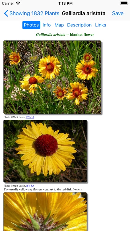 Glacier Wildflower Search screenshot-4