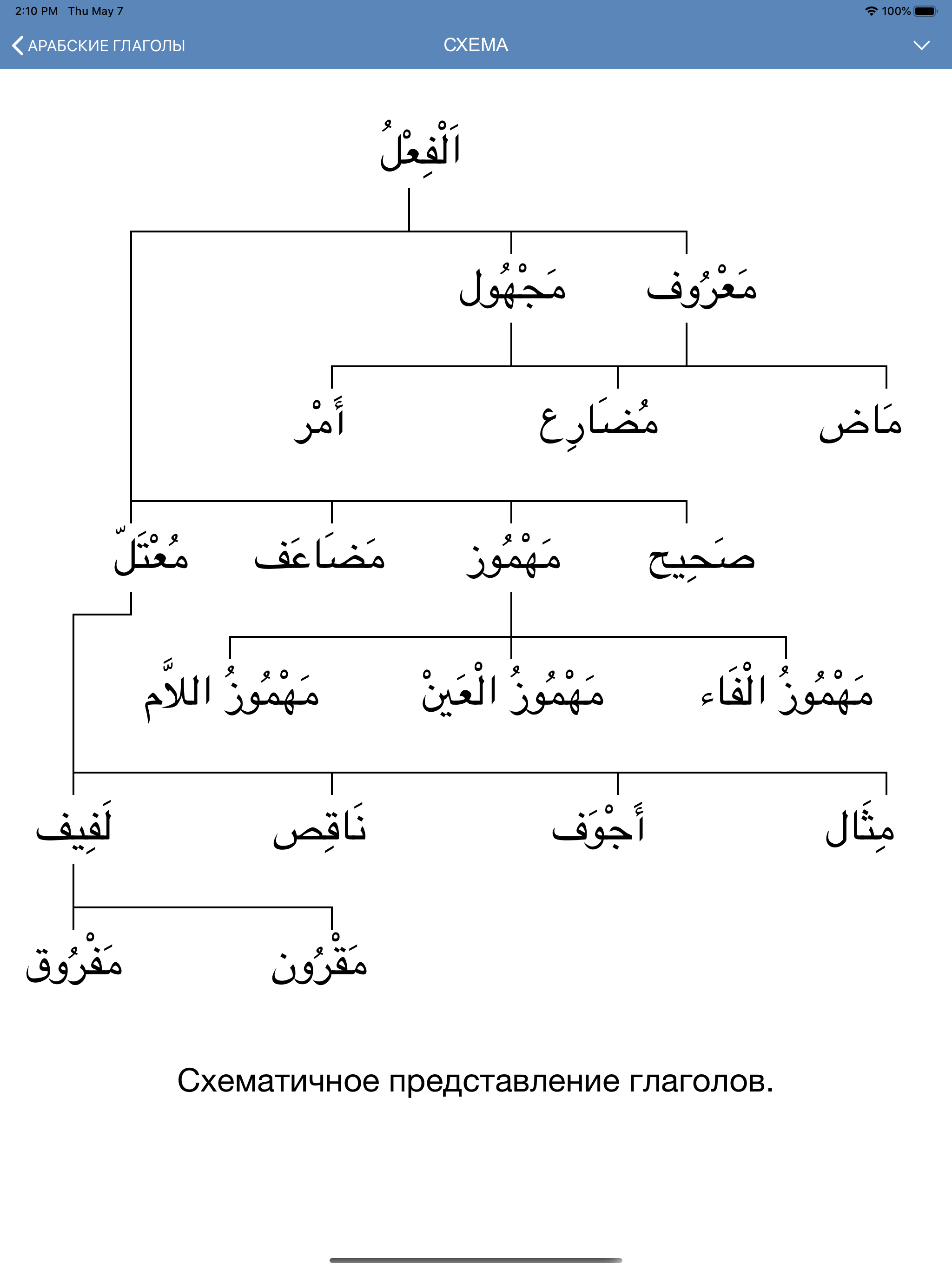 Арабские глаголы screenshot 15