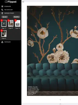 Flippad screenshot 13