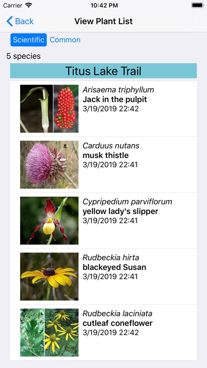 Nebraska Wildflowers screenshot-7