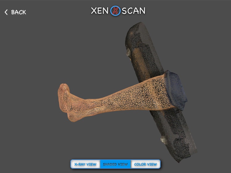 Xen Scan screenshot-5