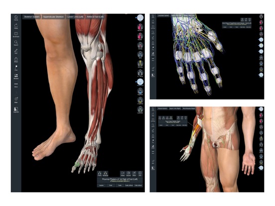 Essential Anatomy 5 iPad app afbeelding 4
