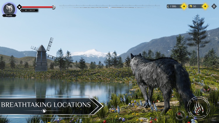 Wolf RPG Simulator 2023 Games screenshot-4