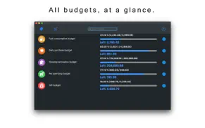 budget planner tracker-бюджет айфон картинки 1