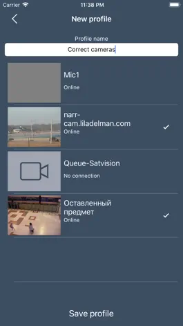 Game screenshot Revisor VMS apk