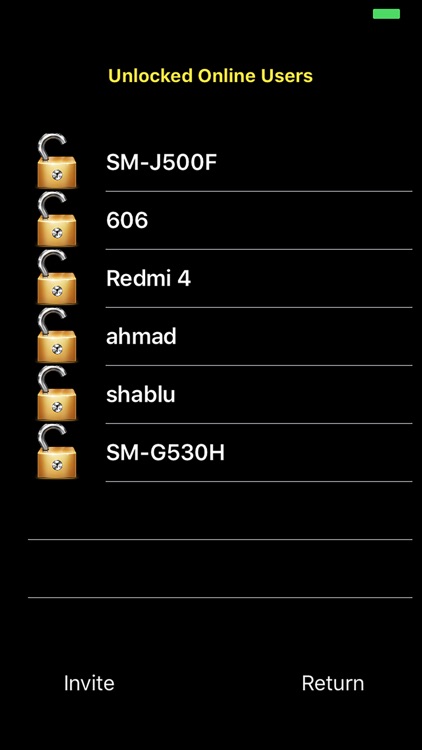 Online Walkie Talkie Pro