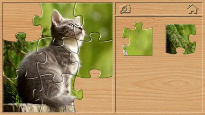 Animal Puzzle for Toddlers 3+ Screenshot