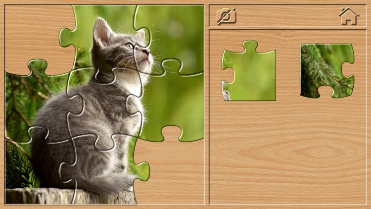 Animal Puzzle for Toddlers 3+