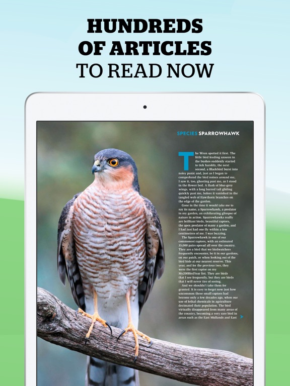 【图】Bird Watching Magazine(截图3)