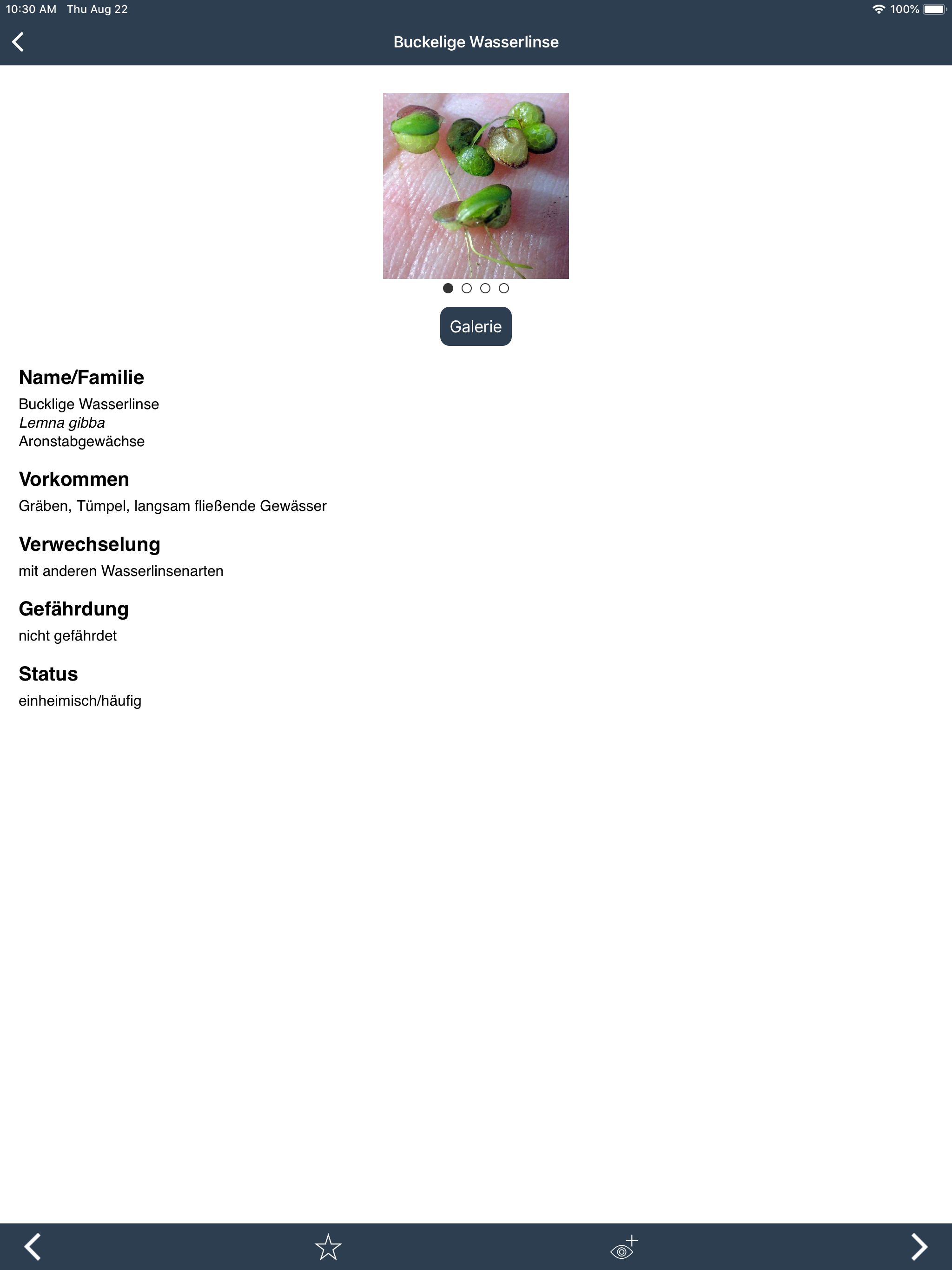 Tauchen-App Wasserpflanzen