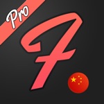 Flamingo Chinese Pro