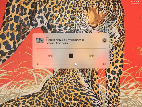 Screenshot #5 pour Palanga Street Radio