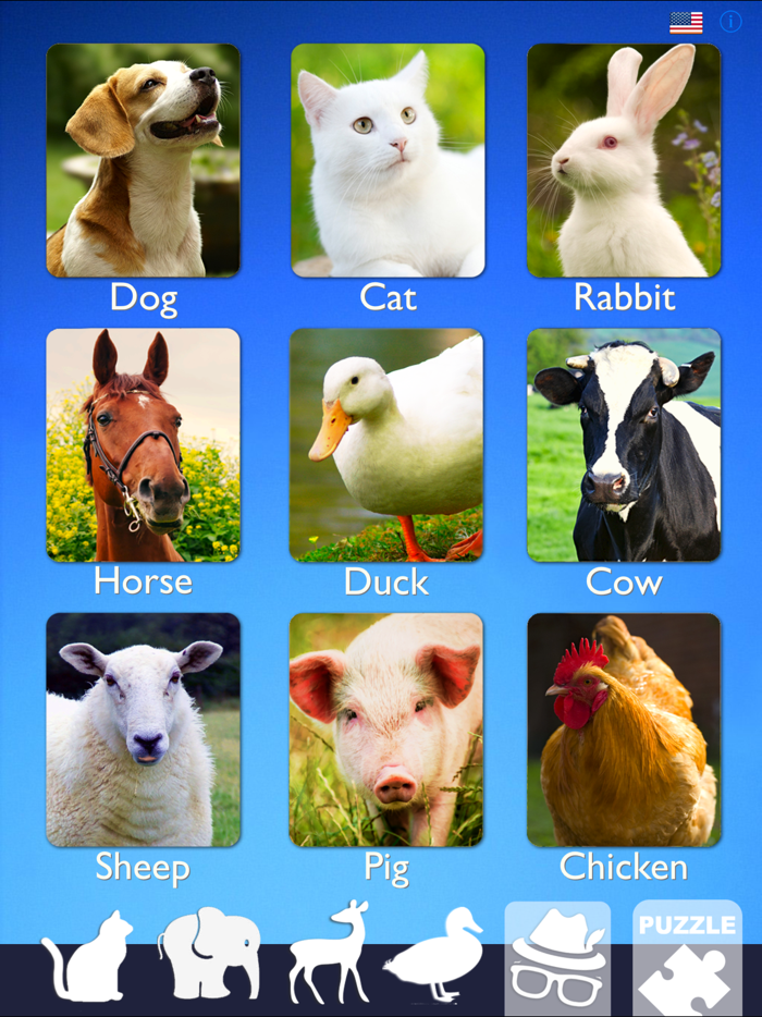 ZOOLA Animals Deluxe - Lite