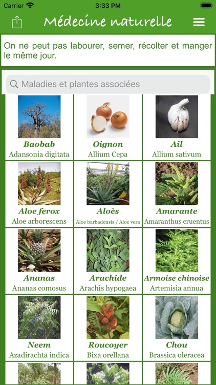 Plantes guérisseuses