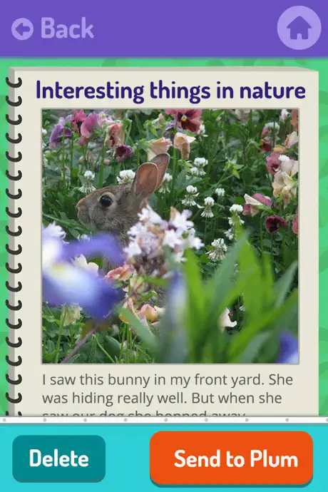 Plum's Photo Hunt
