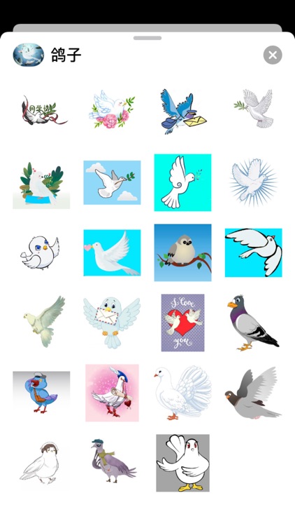鸽子sticker