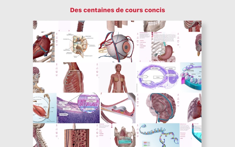 Screenshot #2 pour Anatomie & Physiologie