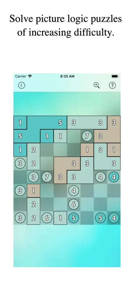 -Pixel Puzzles-