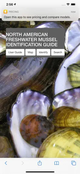 Game screenshot MusselID hack