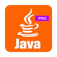 Learn Java Coding Fast Offline sur PC