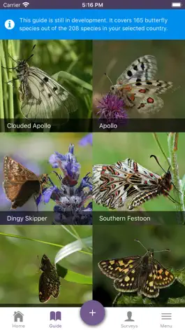 Game screenshot ButterflyCount mod apk