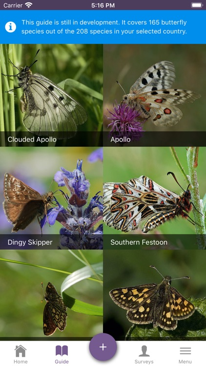 ButterflyCount