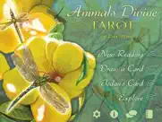animals divine tarot айпад изображения 1