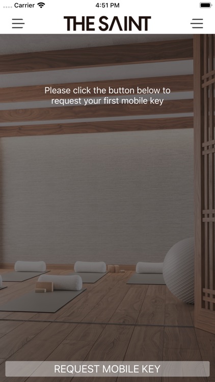 The Saint screenshot-5