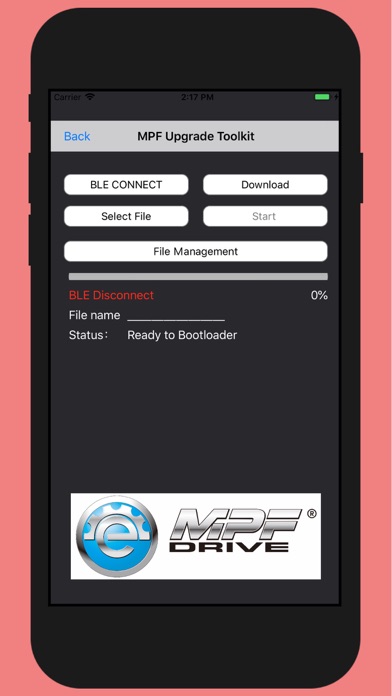 MPF System Check screenshot