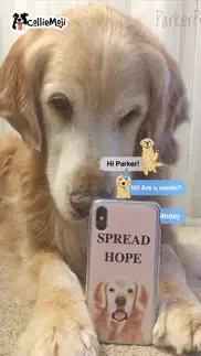 parkermoji - golden retriever problems & solutions and troubleshooting guide - 1
