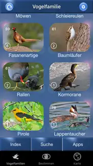 vogel id schweiz iphone bildschirmfoto 2