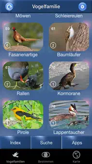 Vogel Id Schweiz iphone bilder 1