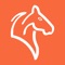 The equestrian app which helps riders to reach their goals together with their horses