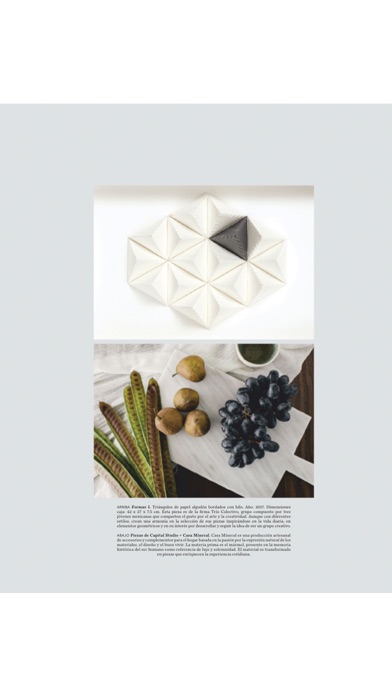 Design Hunter Mexico Screenshot