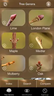 winter tree id - british isles iphone screenshot 1