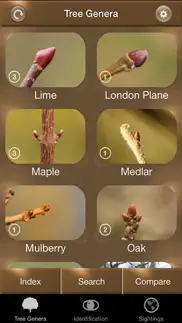 winter tree id - british isles iphone capturas de pantalla 1