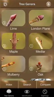 Winter Tree Id - British Isles iphone bilder 0