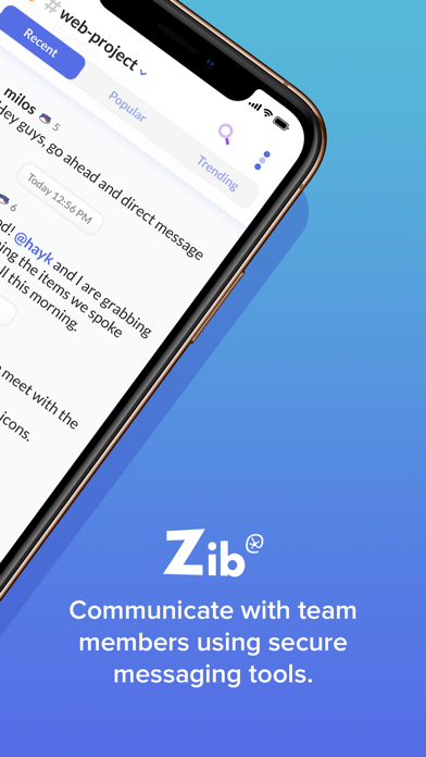 ZIB Messenger screenshot 2