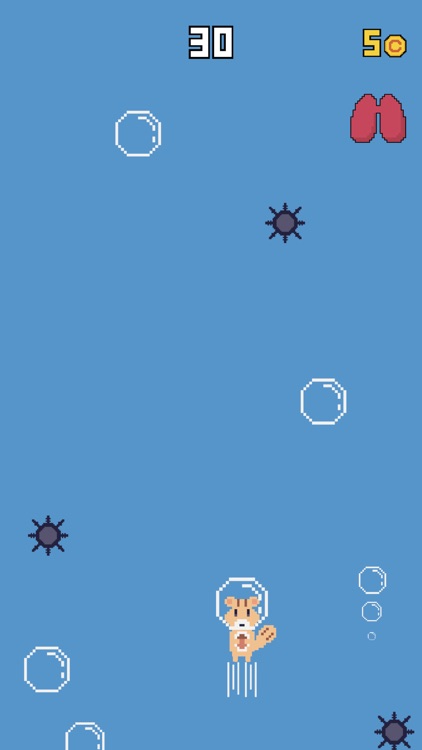 바닷속은 위험해