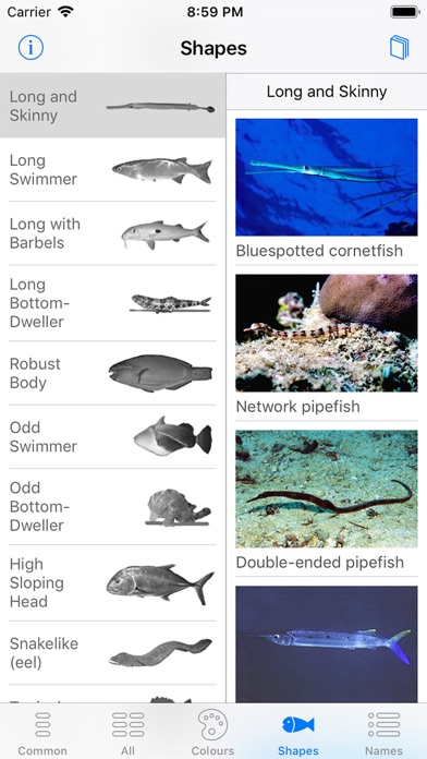 Oman Fish ID Screenshot