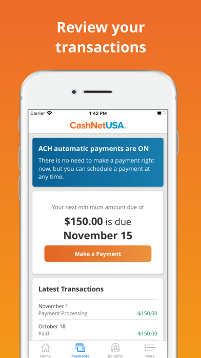 CashNetUSA Screenshot