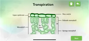 Transport in Plants Biology screenshot #3 for iPhone