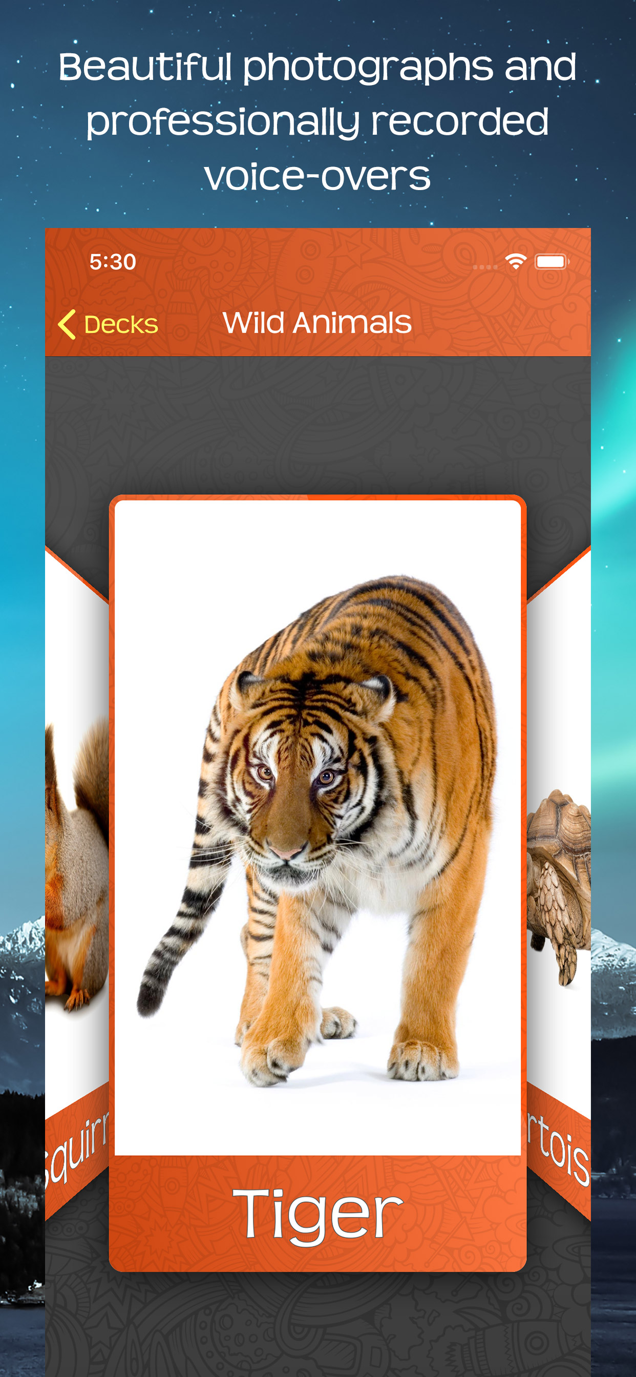 Flashcards! - Word Learning