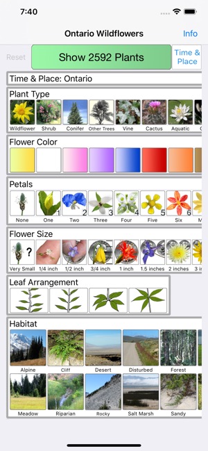 Ontario Wildflowers(圖1)-速報App