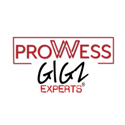 ProwessGigz Experts