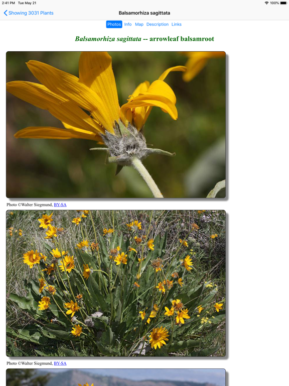 Screenshot #6 pour Colorado Wildflower Search