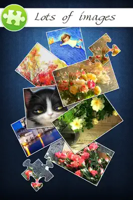 Game screenshot Jigsaw Puzzle Pro+ apk