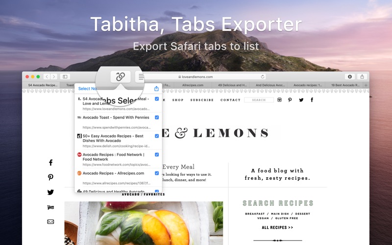 Screenshot #1 pour Tabitha - Tabs Exporter