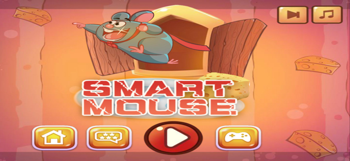 Smart Mouse Puzzle